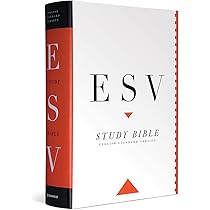 Hebrew-Greek Key Word Study Bible-ESV: Key Insights Into God's