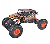 Fitiger 1/18 2.4G Electric RC Car Independent Suspension Remote Control Truck-Orange