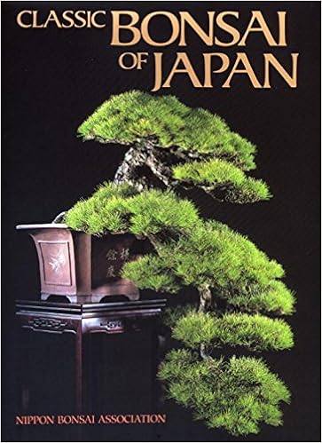 Classic Bonsai Of Japan Nippon Bonsai Association 9784770029928 Amazon Com Books