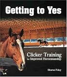 Getting to Yes - Sharon Foley
