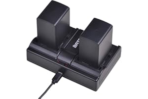 BATMAXUSA Batmax 2X BP-828 BP-820 Batteries + Dual Battery Charger for Canon VIXIA GX10, HFG20, HF G21, HFG30, HFG40, HFM30, HFM31, HFM32, HFM300, HFM301,VIXIA HF G40, HF G30, XA20, XA25 Camcorders