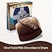 DOVE PROMISES Holiday Milk Chocolate Gift 12-Ounce Box