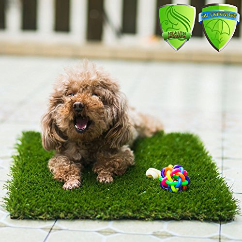 image for MTBRO Artificial Grass for Pet Potty Training and Replacement Puppy Gr