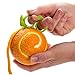 PELEG DESIGN Zesty Chameleon-Shaped 2-in-1 Citrus Zester and Peeler for Decorating Cocktails Cooking and Peeling Fruit, Green
