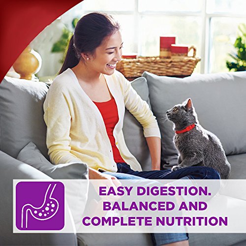 science diet sensitive stomach cat rice and egg