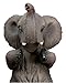 Ebros Kitchen Decor Playful Safari Elephant Wine Bottle Holder Figurine Animal Savanna Oil Wine Valet Storage With Pachyderm Elephant Theme