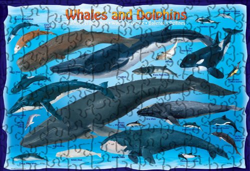 Whales & Dolphins 100 Piece Jigsaw Puzzle