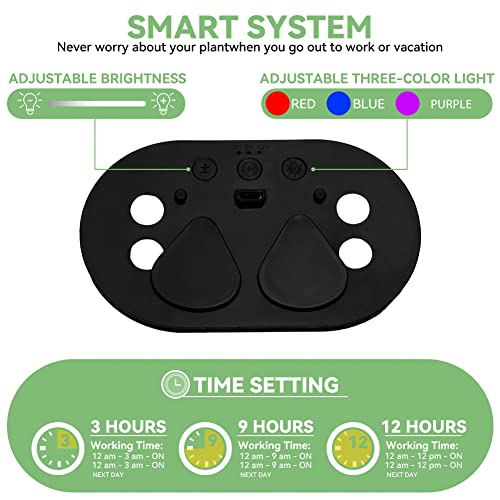 5 Set Seed Starter Trays Kit with 3 Grow Light, Seed Plant Starting Tray with Adjustable Red Purple Blue Lights Brightness & Humidity for Indoor Seed Growing Germinating, Heighten Lid/60 Cells