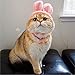 Necoichi Chirimen Cat Collar with Clover Bell (Pastel Pink)