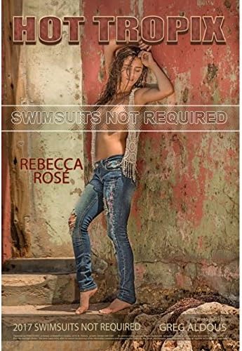 Swimsuits Not Required 2017 Wall Calendar
