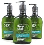 Lot of 3 Bath & Body Works Aromatherapy Stress Relief Eucalyptus Spearmint Hand Soap (Eucalyptus Spearmint)