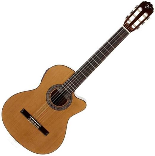 Guitarra jose torres opiniones | Las mejores guitarras