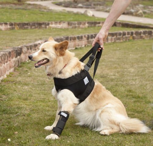 Pfaff Medical Dog Carrier/Lifting Front Harness for Elderly or Injured Dogs (Very Small)