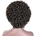 AISI HAIR Curly Wig Short Afro Kinkys Curly Hair Wig Natural Black Short Curly Wig African American Wigs Curly Afro Wig for Black Women