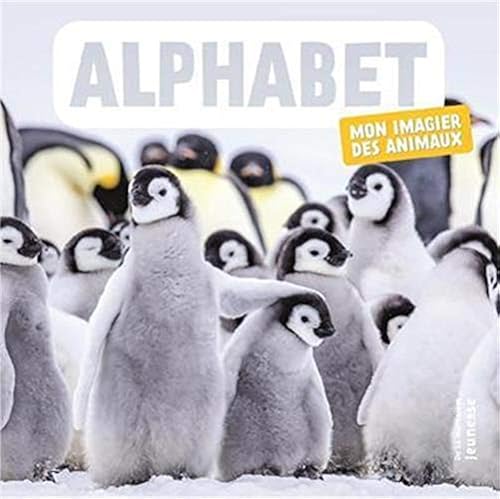 Download Alphabet - Mon imagier des animaux PDF