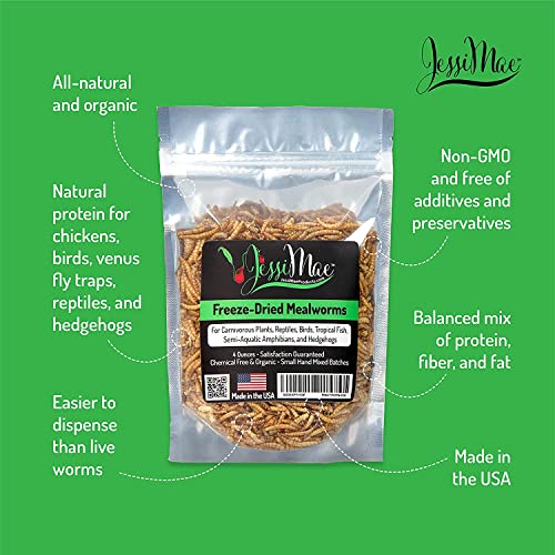 Jessi Mae Freeze Dried Mealworms Natural Protein Meal Supplement