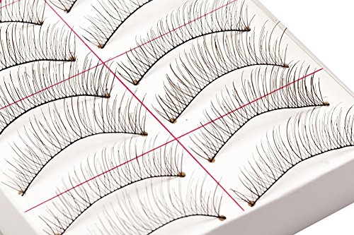 10 Pairs Natural Handmade Soft False Eyelashes / Fake Eye Lashes Set by Cheeky®