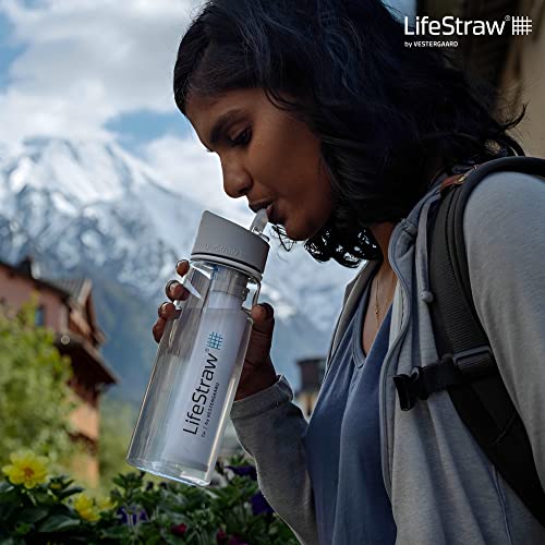 LifeStraw Go Water Filter Bottle with 2Stage Integrated Filter Straw
