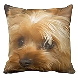 Wait For Mom Love Haley Dog Yorkie Terrier Throw Pillow Cases Personalized 18x18 Inch Square Cotton Decorative Throw Pillow Case Decor Cushion Covers