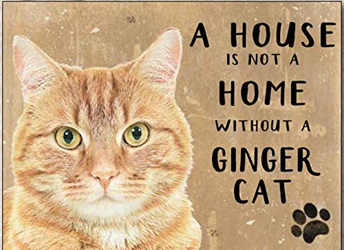 Original A House is Not a Home Without a Ginger Cat Small Metal Sign 200mm x 150mm