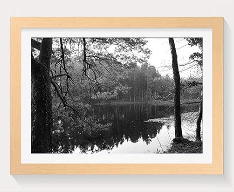 Amazon Co Jp 秋の湖畔の木 自然 木製フォトフレーム 写真フレーム 木製 の枠 装飾画 壁掛け 壁飾り 壁ポスター 木製タグ おしゃれ ウォールアート アートパネル 壁の絵 インテリア絵画 額縁 部屋飾り 贈り物 プレゼント 黒と白 横 40 60cm ホーム キッチン