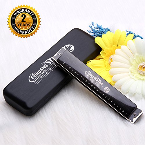 Best Harmonica C Key 24 Holes Major Diatonic Double Tremolo Beginner Harmonicas for Sale Musical Instrument Accessories Black with Case