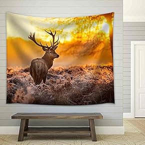 Red Deer in Morning Sun - Fabric Wall Tapestry Home Decor - 51x60 inches