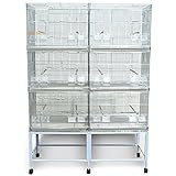 Gabbie uccelli amazon