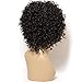 Jolia Hair Fashion Gorgeous Hairstyles Synthetic Short Curly Wavy Full Hair Wigs for Women Natural Look, Jet Black (D03)