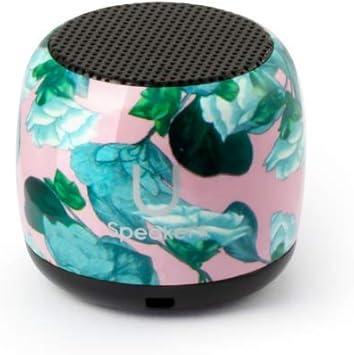 u speaker micro