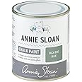 Annie Sloan Chalk Paint® for furniture with no sanding or priming (Duck Egg Blue, 500 ml/16.9 Fl Oz)
