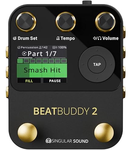 Amazon.com: BOSS DR-01S Rhythm Partner (DR-01S) : Musical Instruments