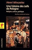 Une histoire des juifs de Pologne by 