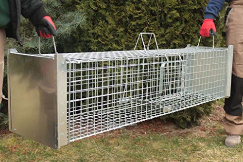 Holtaz Super Starke Falle Marderfalle Katzenfalle Fuchsfalle Biberfalle Tierfalle Kastenfalle Drahtfalle 2 türen, Größe… – Bild 6