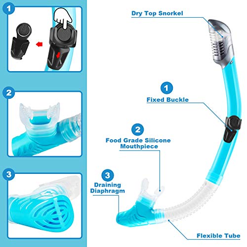 ZEEPORTE Mask Fin Snorkel Set with Adult Snorkeling Gear, Panoramic View Diving Mask, Trek Fin, Dry Top Snorkel +Travel Bags, Snorkel for Lap Swimming (ML/XL) (W40, ML/XL) (Renewed)