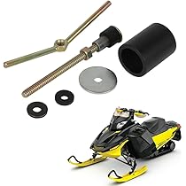 【Kms】　スプリングボック（ショルダーマウント）剥製 Kms様 専用】 スプリングボック（ショルダーマウント）剥製