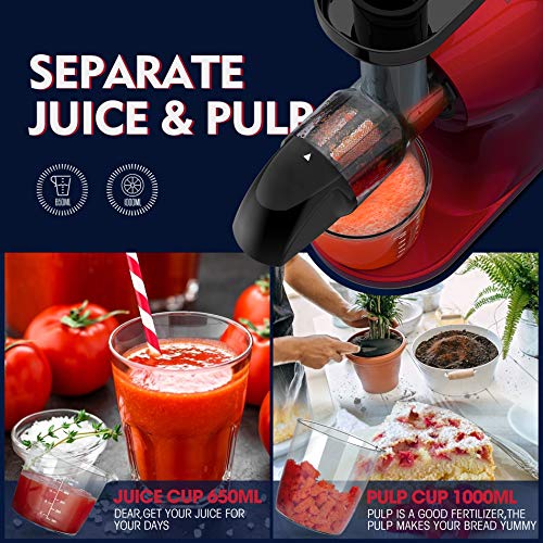 Juicer Machines, Slow Masticating Juicer for Vegetable and Fruit, Cold