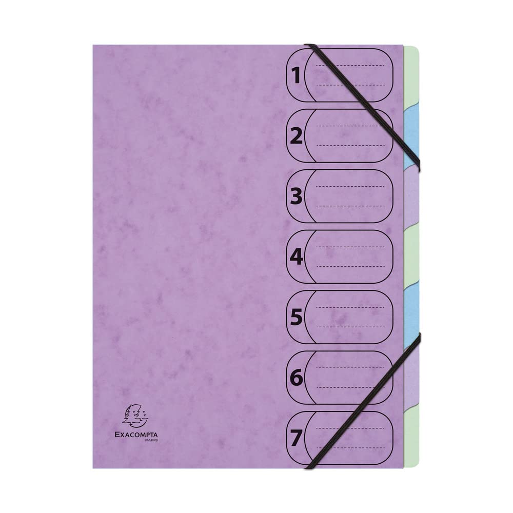 Exacompta - Ref. 56560E - 1 HARMONIKA Aquarel folder - with elastic bands and printed windows - extendable back - glossy card cover - 7 compartments - size 24.5x32cm - A4 - random colours