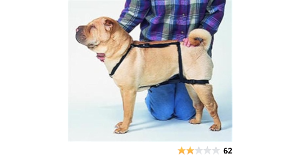 no jump harness petco