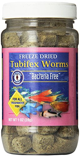 San Francisco Bay Brand ASF71510 Freeze Dried Tubifex Worms for Freshwater Fish, 28gm