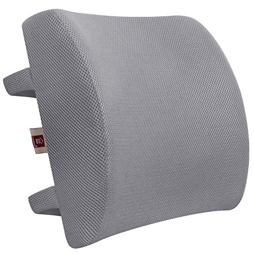 LOVEHOME Memory Foam Lumbar Support Pillow for Desk Chair with 3D Mesh