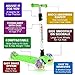BELEEV Kids Scooters 3 Wheel, Kick Scooter for Boys Girls Toddlers, Adjustable Height, Lean to Steer, Extra-Wide Board, PU Light Up Wheels for Children Birthday Present Toys Ages 3 to 12 (Green)