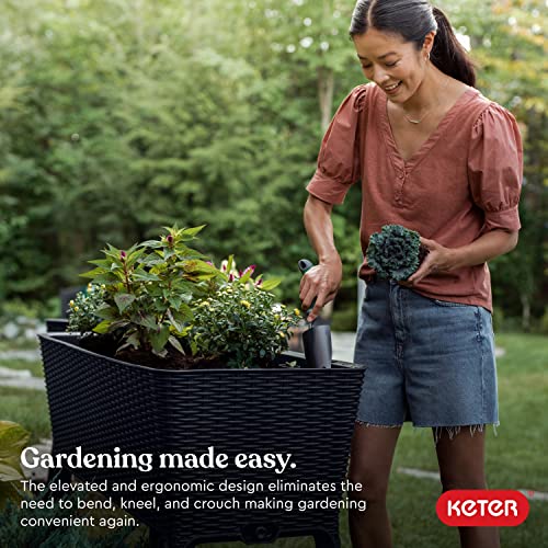 Keter Easy Grow 31.7 Gallon Raised Garden Bed with Self Watering Planter Box and Drainage Plug