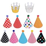 LeeSky Birthday Party Hats and Colorful Happy Birthday Banner,Kids Party Hats Set of 11,Fun Adult Party Hats 9 Hats and 2 Crowns