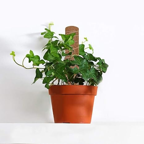Robustos Postes de Soporte para Plantas, Poste de Soporte ...