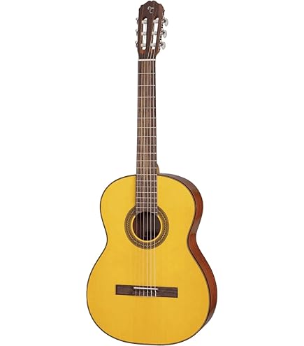 Amazon.com: Takamine GC5 Nylon-String Left-Handed Acoustic Guitar