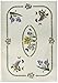 Avanti Linens Botanic Garden Napkin 19-Inch, Set of 4, Ivory