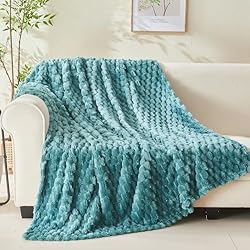 NEWCOSPLAY Super Soft Twin Blanket Light Teal