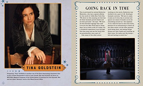 IncrediBuilds: Fantastic Beasts and Where to Find Them: Niffler Deluxe Book and Model Set - //coolthings.us