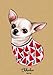 Chihuahua Journal: Perfect Gift for Chihuahua Lovers: Lined Chihuahua Notebook with 110+ Pages (7